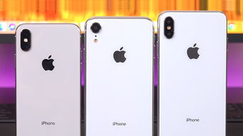iPhone 17标准版才是系列真神？一起来瞧瞧吧！