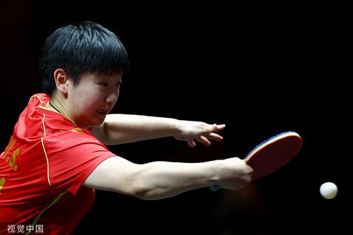 孙颖莎全力拼搏，誓要打好每一场比赛！