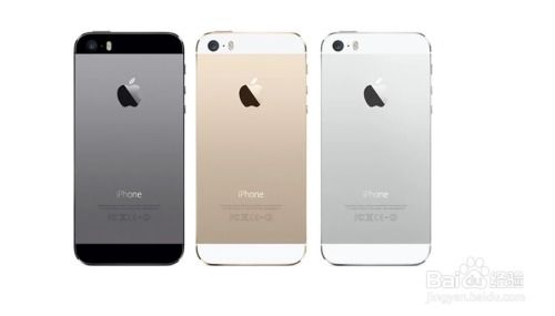 展示不同版本iPhone的对比情况