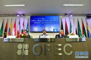 石油输出国会议