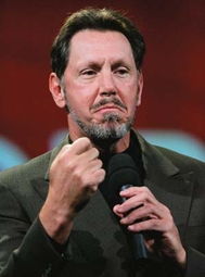 埃里森接受采访