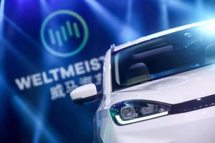 威马'复活'，背后新东家竟然是它？