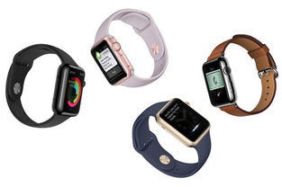 Apple Watch Series 8手表