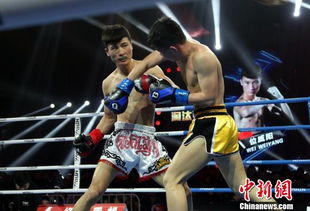 拳愿323：征西派内战背后的神秘力量