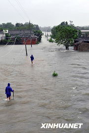 河南多地暴雨：现场直击那惊心动魄的一幕幕