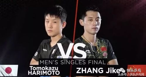 张本两连败大飞，日男团惨遭团灭！