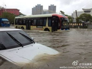 河南大暴雨下的众生相