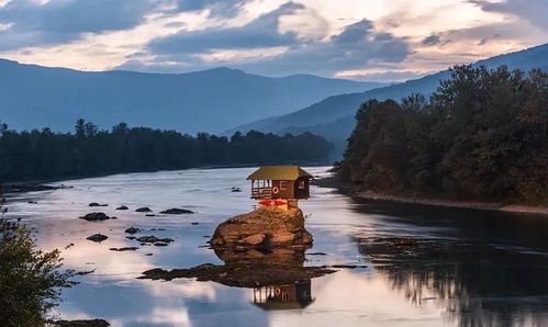 武契奇盛赞！塞尔维亚为何成中国人民第二故乡？