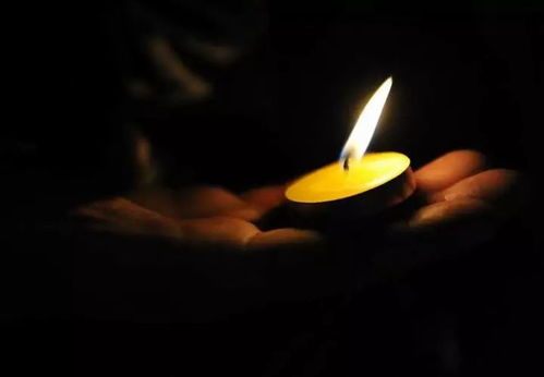 特朗普盟友遭袭死亡案嫌犯落网，背后真相令人深思