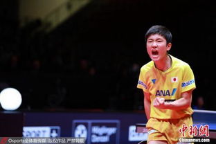 薛飞力克劲敌张本智和，国乒再添佳绩！