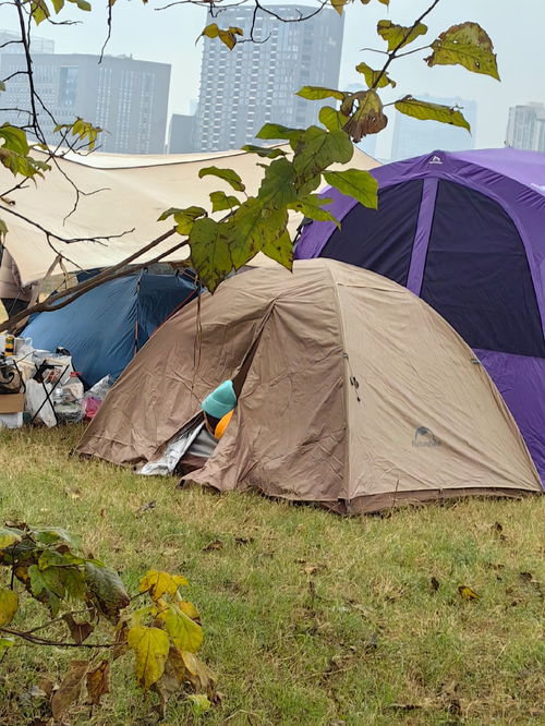 小红书被挖，薯民们的赛博戒网瘾之旅
