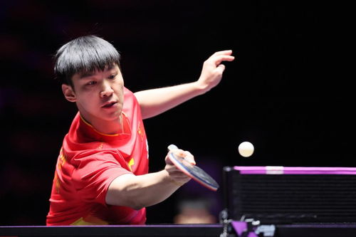 薛飞大胜！3:0横扫张本智和背后的故事