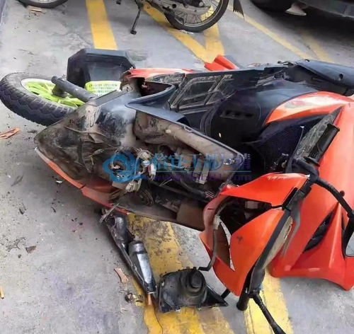 重庆摩托车真的能上高速吗？真相大揭秘！