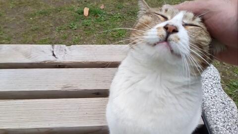 豆包P图玩出新花样，网友直呼666！