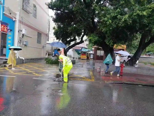 台风塔巴残留势力搅局 河南多地遭受风雨侵袭