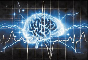 人类大脑神经元连接图