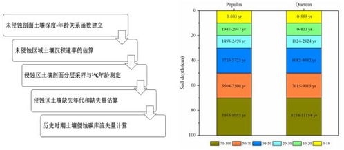 火星土壤样本分析图