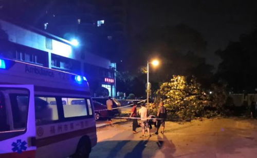 震惊！特朗普政治盟友遭枪击身亡，真相令人咋舌