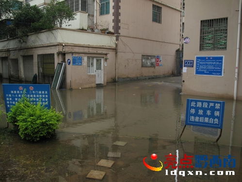 多地城市内涝，小区门口水深及腰，居民出行成难题！