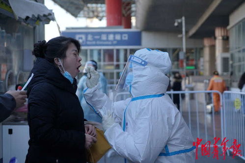 工作人员安装防护网