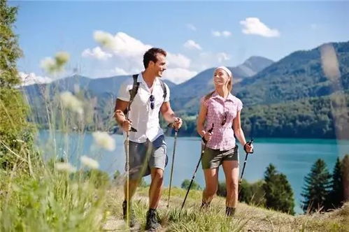 卡皮巴拉躺在草地晒太阳