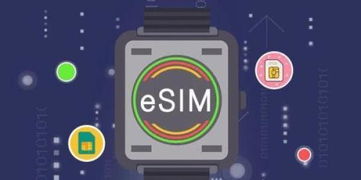 北京电信eSIM开通能力就绪，iPhone Air开售即能办理啦！