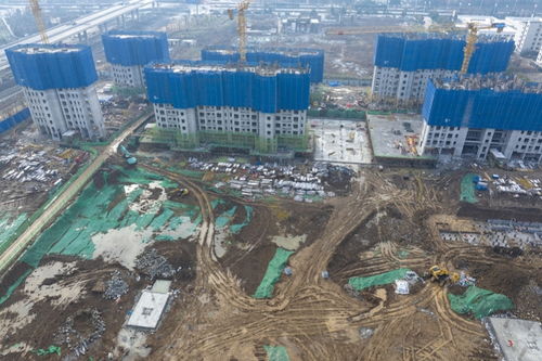 海口惊现‘零元房’‘100元房’？住建局要出手了！