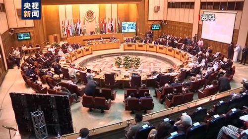 国际社会调解人员