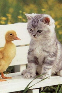 苹果AirPods Pro 3超值入手！首发即享国补，1614元还能12期免息