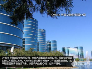 甲骨文股价暴涨背后的故事