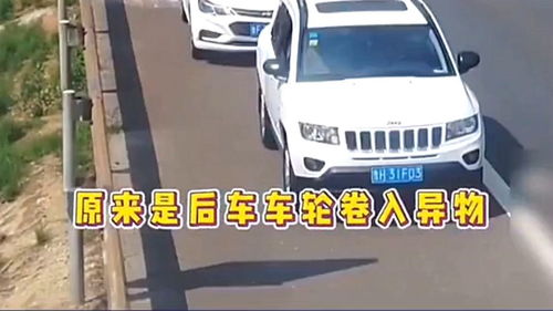 智驾领域：VLA与WA的‘大脑’对决