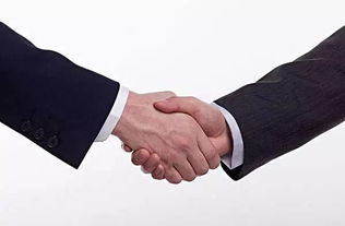 人们握手言和的场景