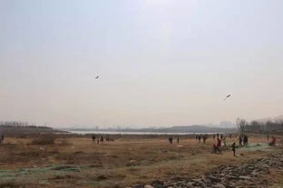 国家卫健委：2024年我国人均预期寿命比2020年提高1.1岁背后的故事