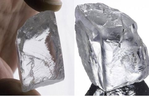 鳌胶之味，四季皆宜的独特魅力