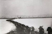 迎志愿军英烈回家，敬礼！