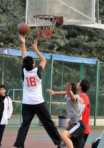 广州男篮季前赛阵容公布！陈国豪带队郭艾伦等人缺席