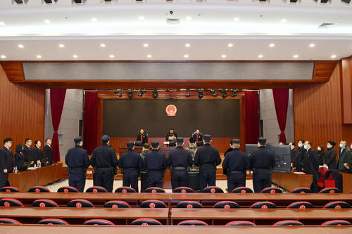 邵柏杰涉‘馆长’枪击案被宣判无罪，背后真相大起底！