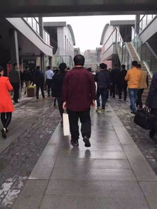 罗永浩参加活动