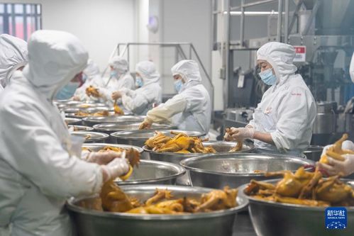 预制菜生产车间图片