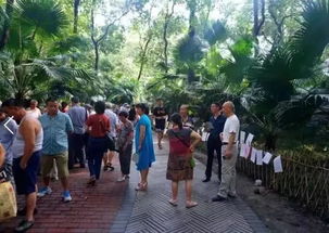 人们围绕评分争论的画面