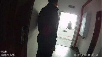 巴西前总统在狱中的想象图