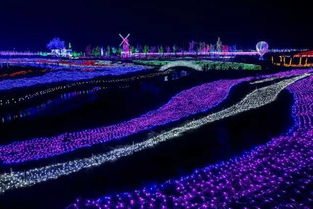 待我回家：那刻骨铭心的思念之旅