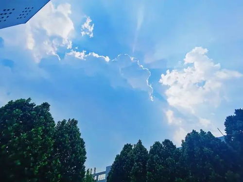 第十二批在韩志愿军烈士遗骸回家啦！