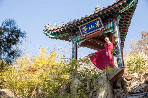 和平鸽象征着希望与和谐