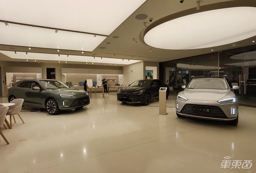 极狐T1：超值纯电小车闪亮登场