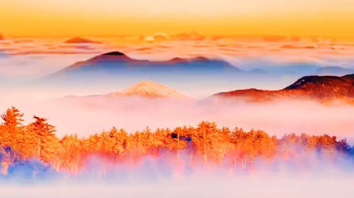 这是该地区的美丽风光图