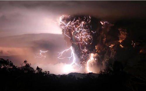 揭秘！什么是雷暴哮喘？