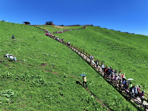 新疆美丽风光吸引游客