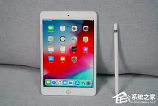 华为小平板迷你款价格标签