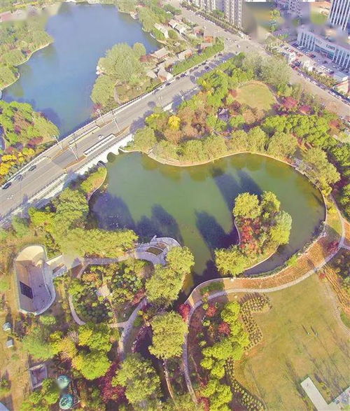 绿树环绕的美丽城市